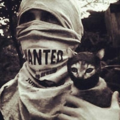 https://t.co/3fq8TfXGYL