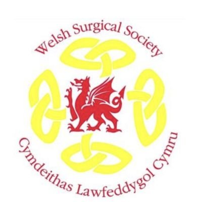 The Welsh Surgical Society hosts a meeting on a bi-annual basis in different locations across Wales. An opportunity to present research and network