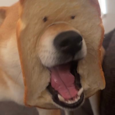 kawamoto_dte's profile picture. イベント企画・制作会社経営。タレント、お笑い芸人を抱える小さな事務所、ウェブプロモーション、動画制作、Jリーグ運営などもやってます。大阪府立高津高校、横浜市立大学卒。(株)ドミトリーム・エンターテインメント、(株)タスメディア 代表取締役