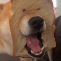 川本翔大 (@kawamoto_dte) 's Twitter Profile Photo 川本翔大 (@kawamoto_dte) 's Twitter Profile Photo