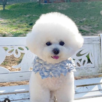 JSATIRO's profile picture. Knowledge gives people weight, and achievements give people glory. Most people just see the glory without weighing the weight.