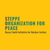 Steppe Organization for Peace (STOP) (@STOP_nuclear456) Twitter profile photo