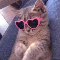 خُـلُود (@xa_33aa) Twitter profile photo