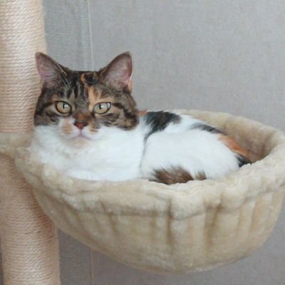 yasn0320's profile picture. 