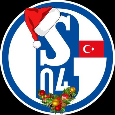 Schalke 04 fan hesabı