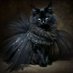 black cat lady (@dosleire20523) Twitter profile photo black cat lady (@dosleire20523) Twitter profile photo