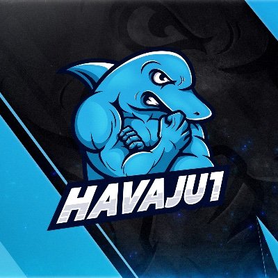 havaju1's profile picture. https://t.co/fejmo14KmJ