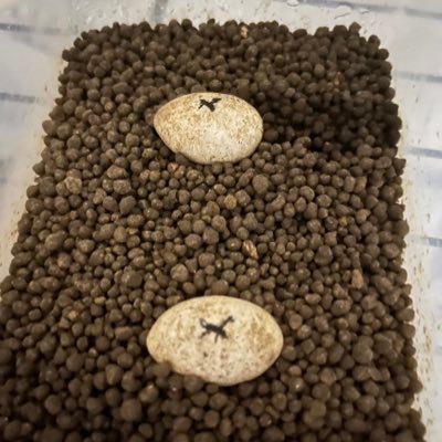 nI9Fu7kHMCUOL1B's profile picture. 