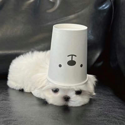 hwnkxbmska75316's profile picture. 