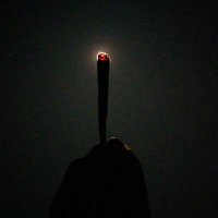 Amnotyourfriend (@amnotyourf1996) 's Twitter Profile