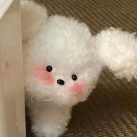 波波 (@carynyl0) 's Twitter Profile