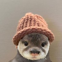 cynmonek🌙 (@_cynmonek) 's Twitter Profile