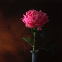 MarkPimlott (@mark_pimlott) 's Twitter Profile