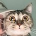 mcdonie (@karimmcdonie) Twitter profile photo mcdonie (@karimmcdonie) Twitter profile photo
