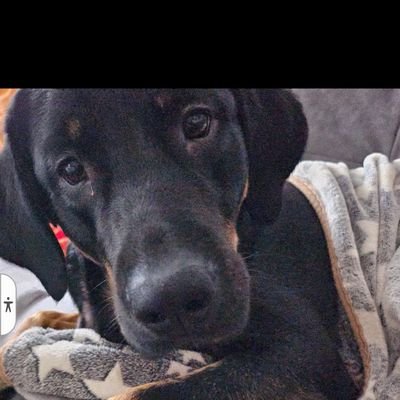 TupacBaby1983's profile picture. 