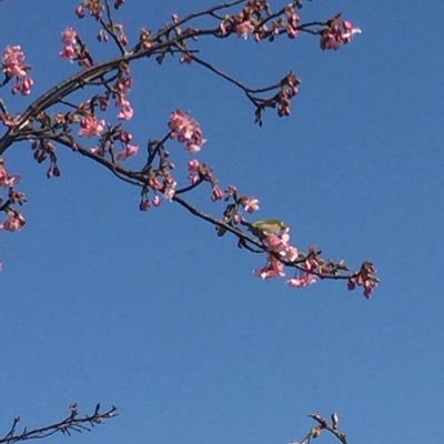 papa63021's profile picture. 純資産課税を実現へ #STOPインボイス #消費税廃止    少子化と年金問題を解決する方法  「LBP（ライフ・ベーシック・ポイント）」  ご意見ご感想んお待ちしております セワシくんが暮らす世界を目指す