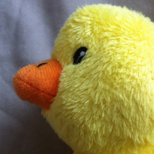 ColQuackQuack's profile picture. Best friend of @LamboOnTour. We served together in the special forces.
If you need help, and you can find us, we'll help you.
I love custard creams.