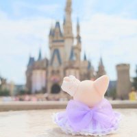 りんごあめ (@mizuiro_x_ringo) 's Twitter Profile Photo