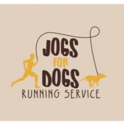 Offering a professional, fun and tailored dog running service in Sudbury and the surrounding areas