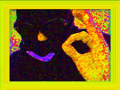 SweeneyTurd's profile picture. We beasts are either shit or turning something into shit