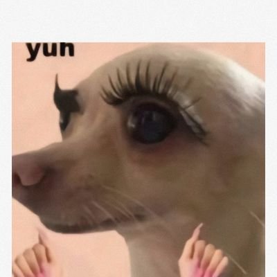 ChiangGesele's profile picture. Asic seller