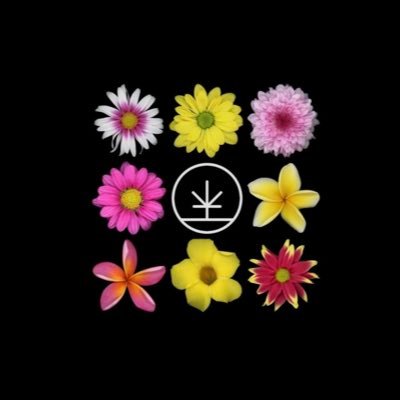 Chernobyl0174's profile picture. 
