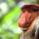 Manolo Olivares - @MOlivares10 - Twitter