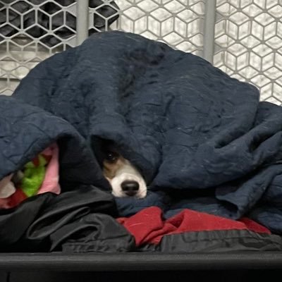 imjaimesmartha's profile picture. she/her