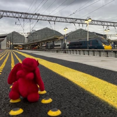 A little dragon exploring a big world. 

Transport historian, rail worker, (very) amateur photographer & part of @railstonowhere. 

All views my own (they/them)