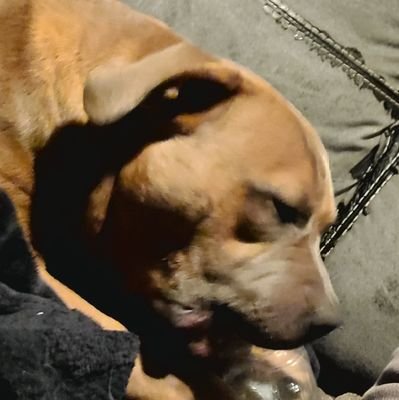 whofarted73's profile picture. Searching for a droplet of truth in a tsunami of partisan information