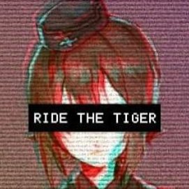 traveler_c99088's profile picture. 