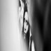 LaureEquy (@laureequy) Twitter profile photo LaureEquy (@laureequy) Twitter profile photo