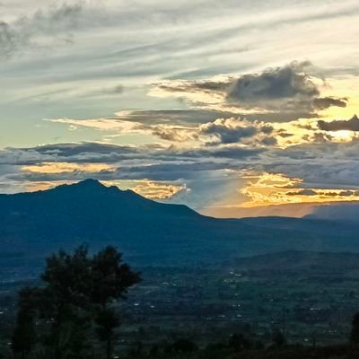 fayee_n's profile picture. Soft heart, wild spirit
