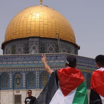 AFatizui25167's profile picture. 