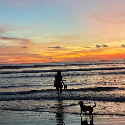 AnchalSangar's profile picture. 