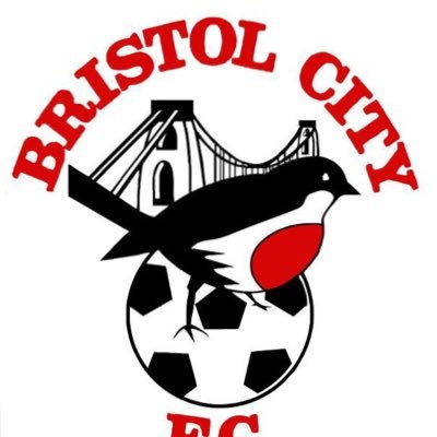 A supporters view on Bristol City related opinions