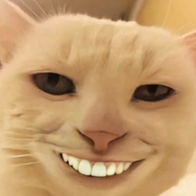 yigeshuren's profile picture. 一个老而精的老韭菜   逃顶猛男！   丨超能力社区创始之一丨

相信区块链就是未来！爱撸毛！爱零撸！

项目分享请勿跟单，不构成投资建议！