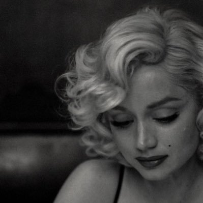 sh_1234641's profile picture. ✨