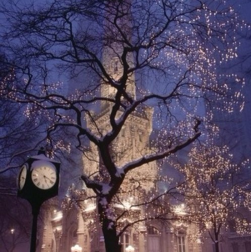 feixiongkalv's profile picture. 