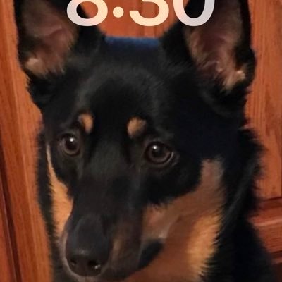 DavidMo16292423's profile picture. 