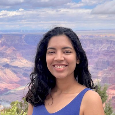 GunshiGupta's profile picture. Current: PhD student at OATML Oxford
Previously: Microsoft Research | Wayve, London | MILA