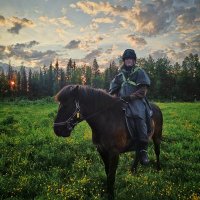 Tmetsajoki 🇫🇮🇺🇦🇪🇺 (@tmetsajoki) 's Twitter Profile