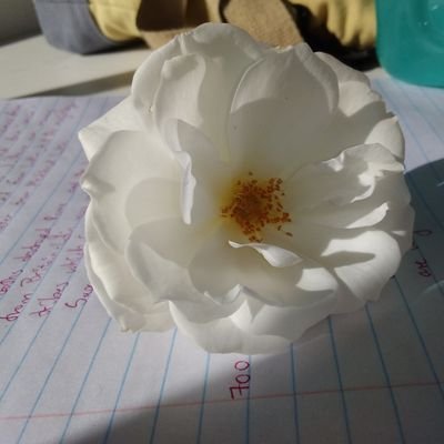 20something03's profile picture. ♐