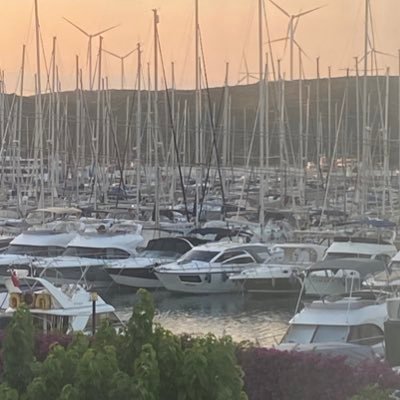 WlCavus's profile picture. 