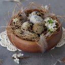 Marta Morrison - @MorrisonMa934 - Twitter