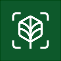 Working Trees (@workingtrees) 's Twitter Profile