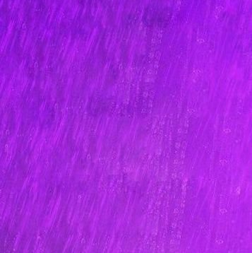 idkkkk888's profile picture. Sunshine All The Time Makes a Desert🏜