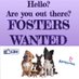 FOSTER FIRST ๐ (@fosterfirst1) Twitter profile photo FOSTER FIRST ๐ (@fosterfirst1) Twitter profile photo