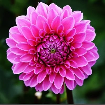 BernaNam99's profile picture. I believe