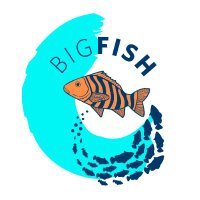 Big Fish Initiative(@BigFishInit) 's Twitter Profile Photo